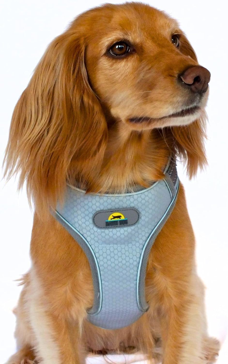 dog harness with handle