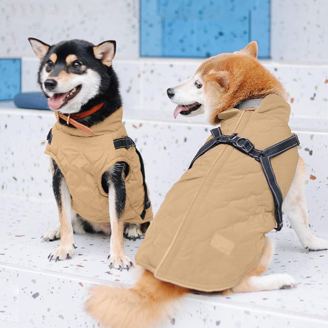 dog jackets waterproof