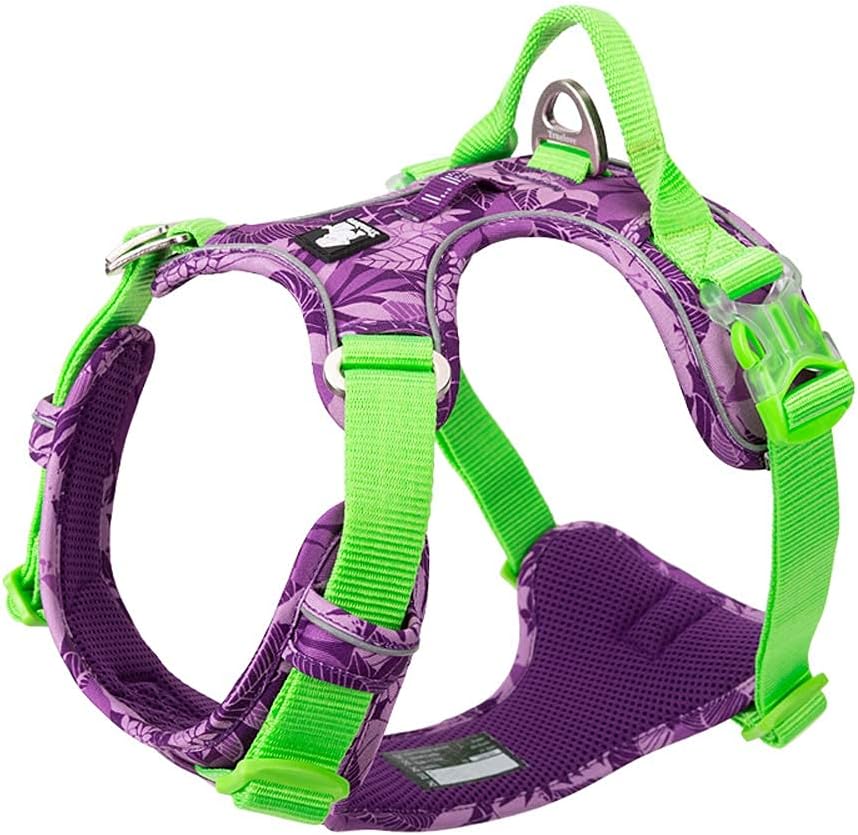 dog harness with handle