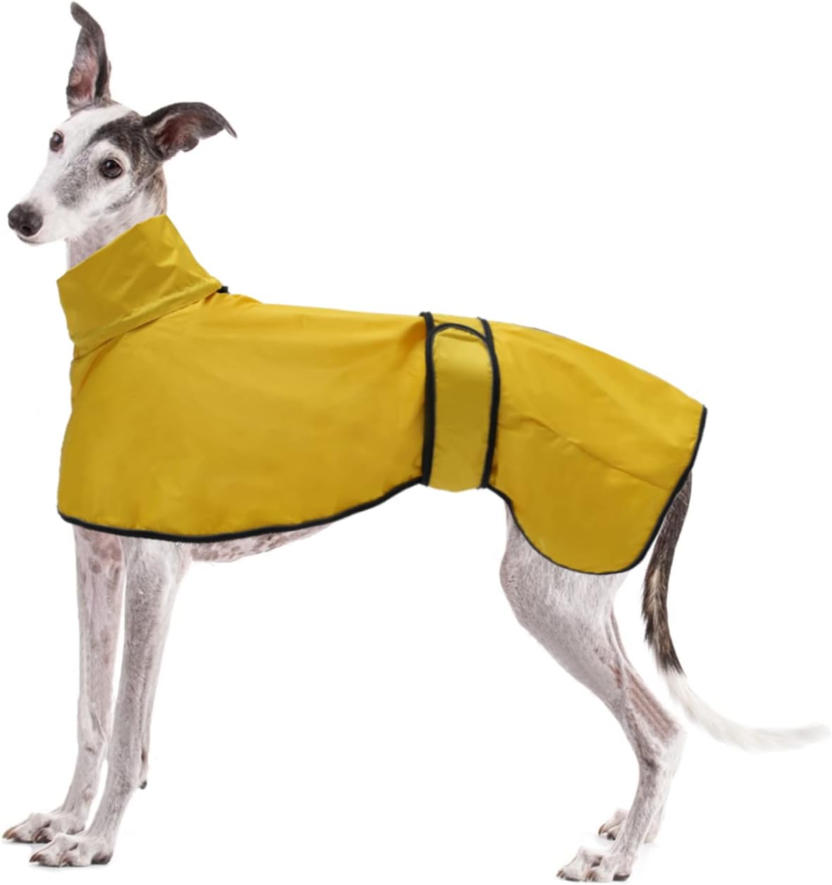 dog jackets waterproof