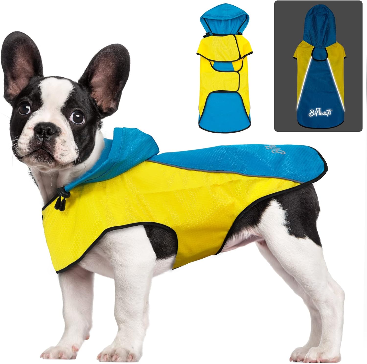 dog jackets waterproof