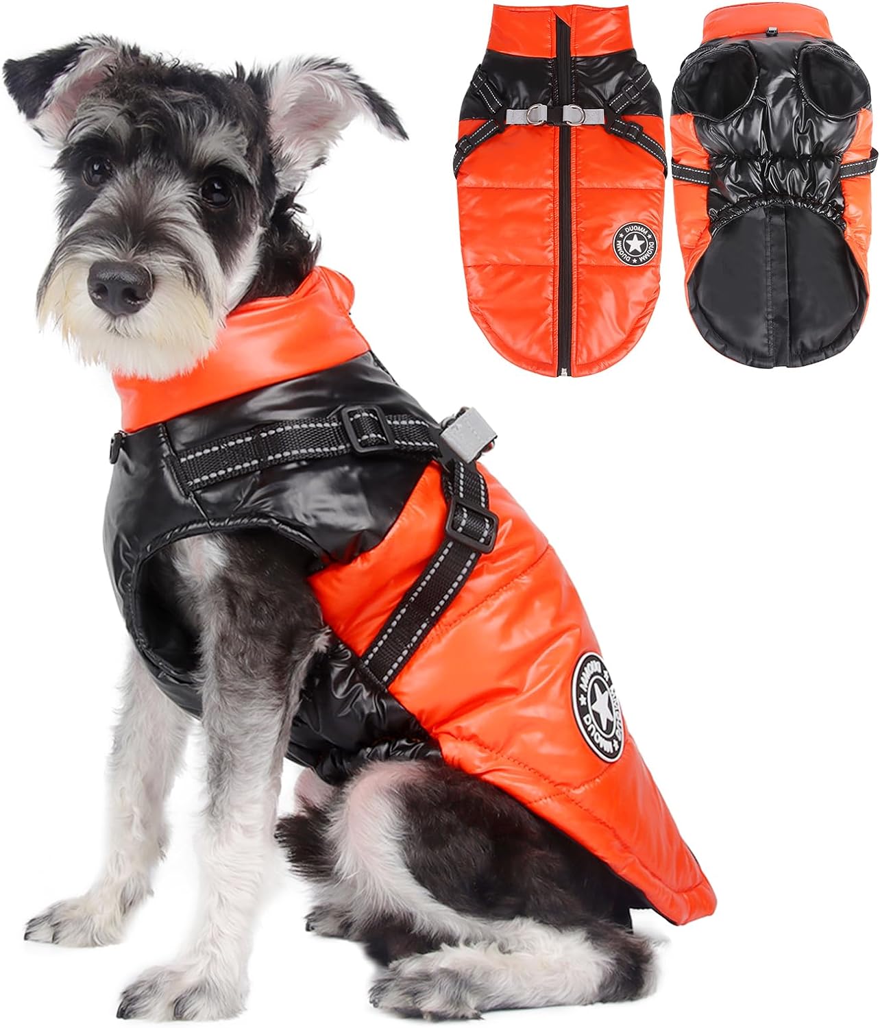 dog jackets waterproof