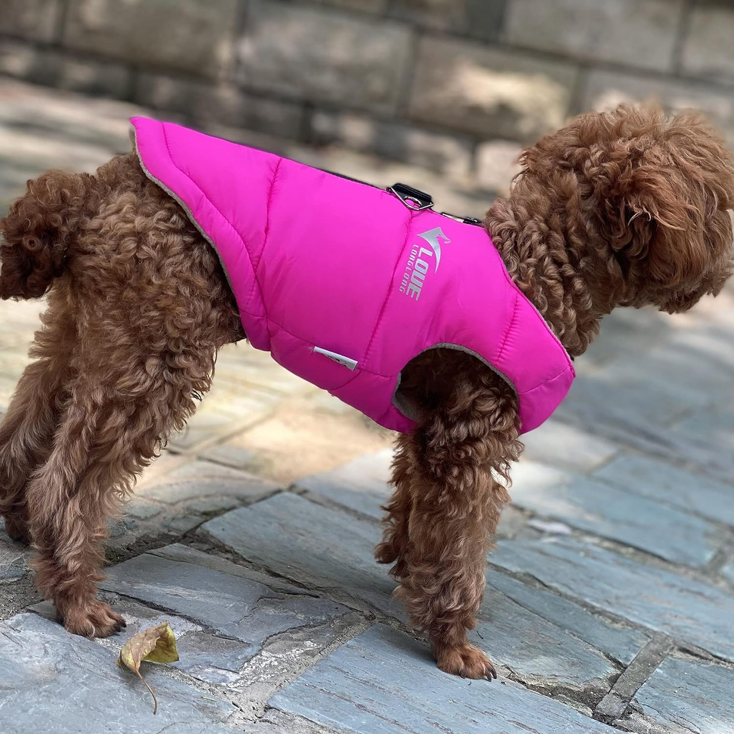 dog jackets for winter