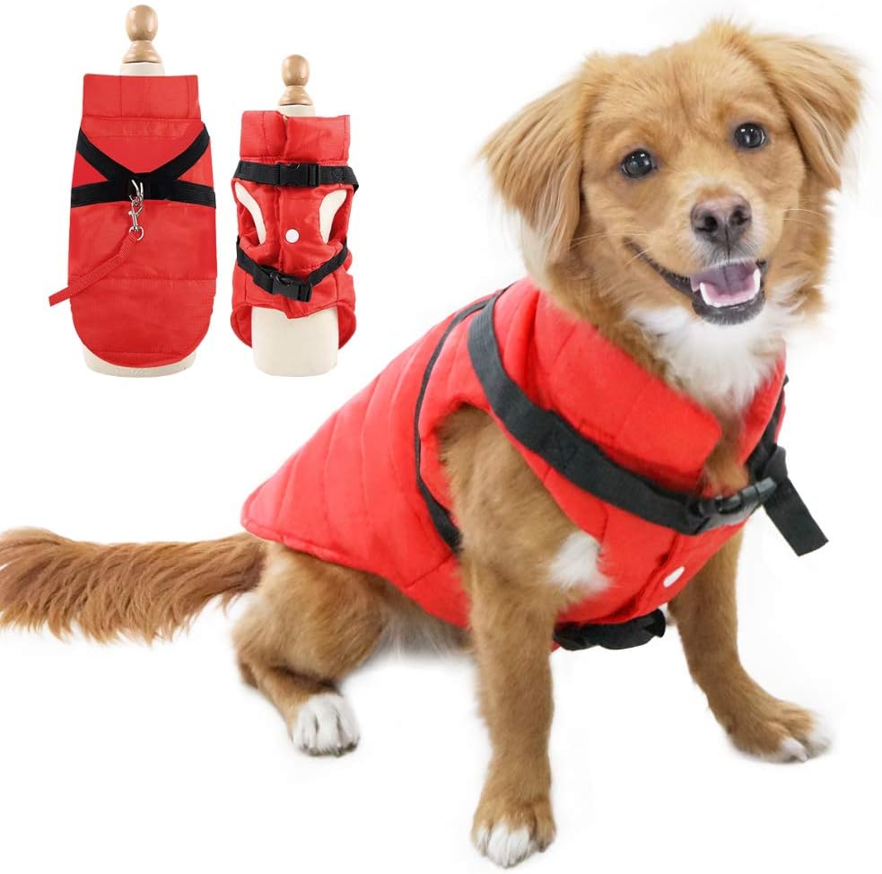 dog jackets waterproof