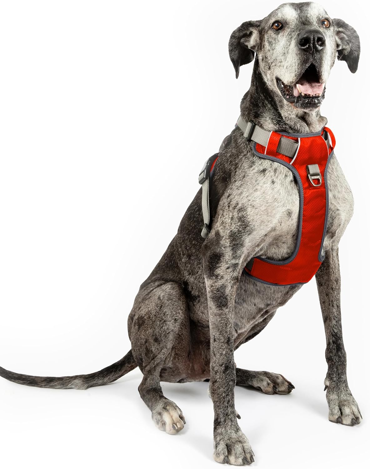 dog harness with handle