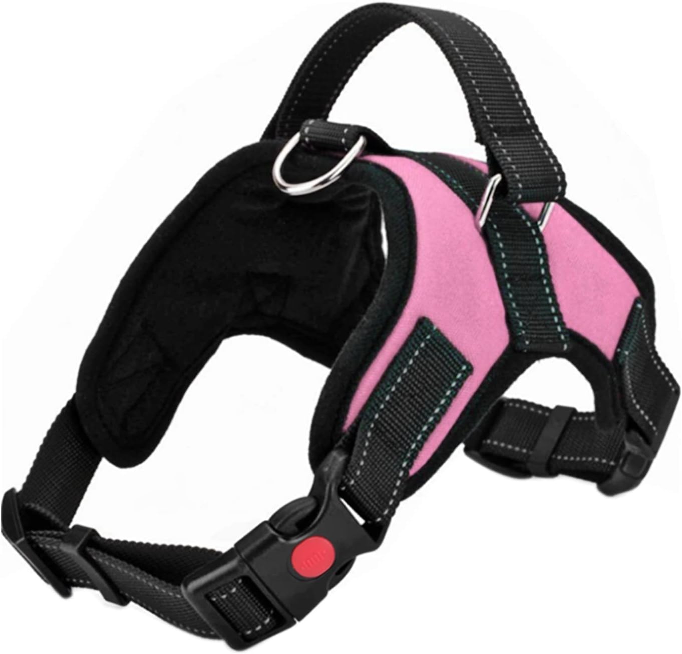 dog harness with name