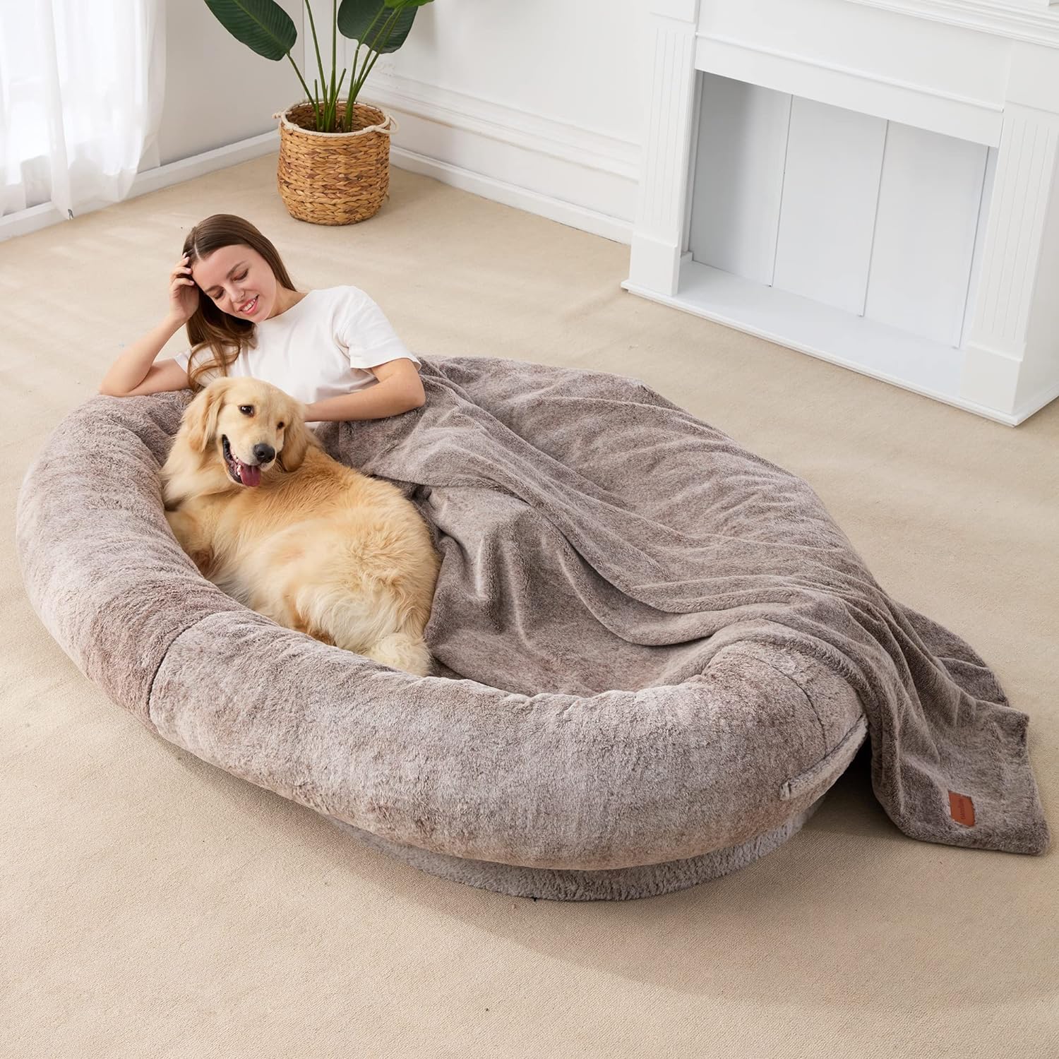 dog beds for large dogs