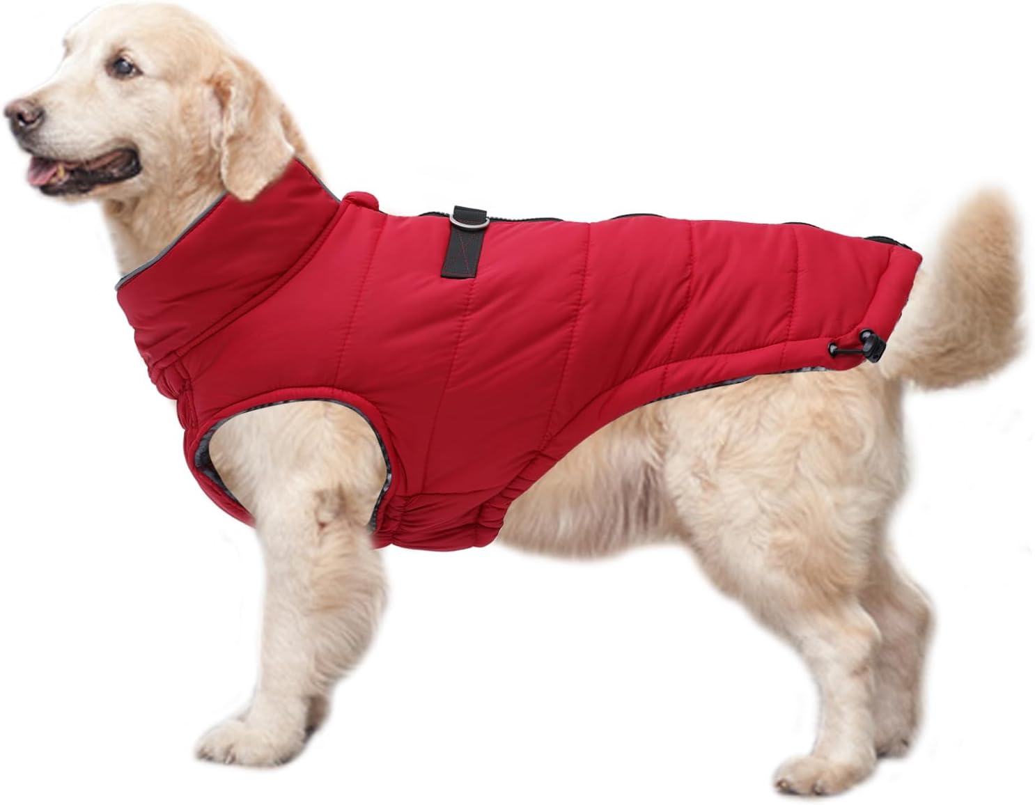 dog jackets for winter