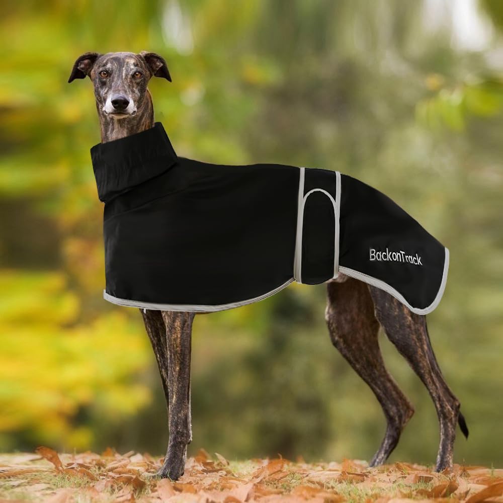 dog jackets waterproof