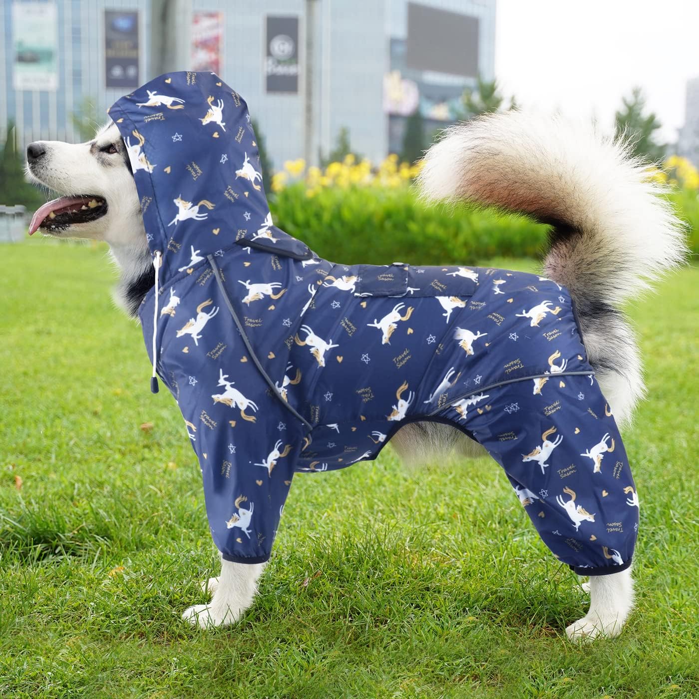 dog jackets waterproof