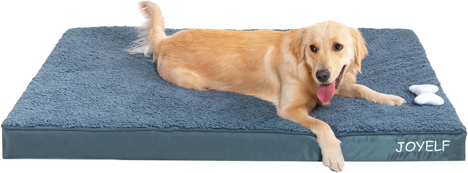 dog beds amazon