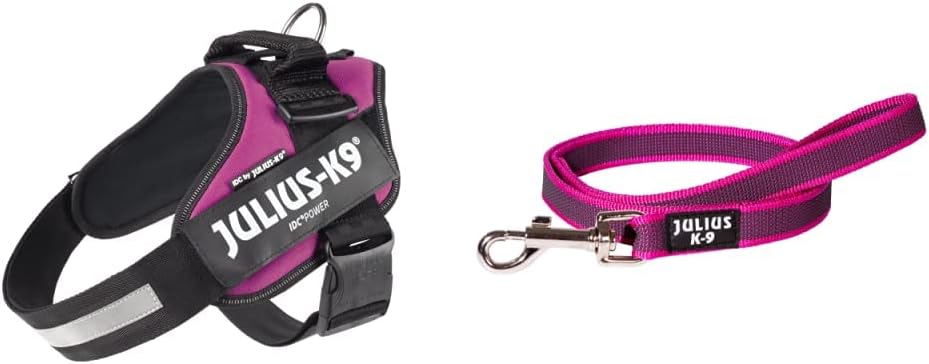 dog harness with handle