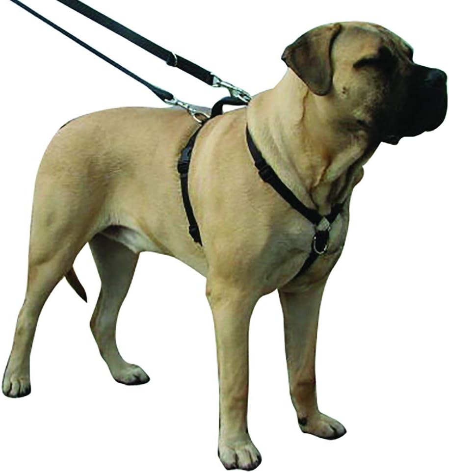 dog harness with handle