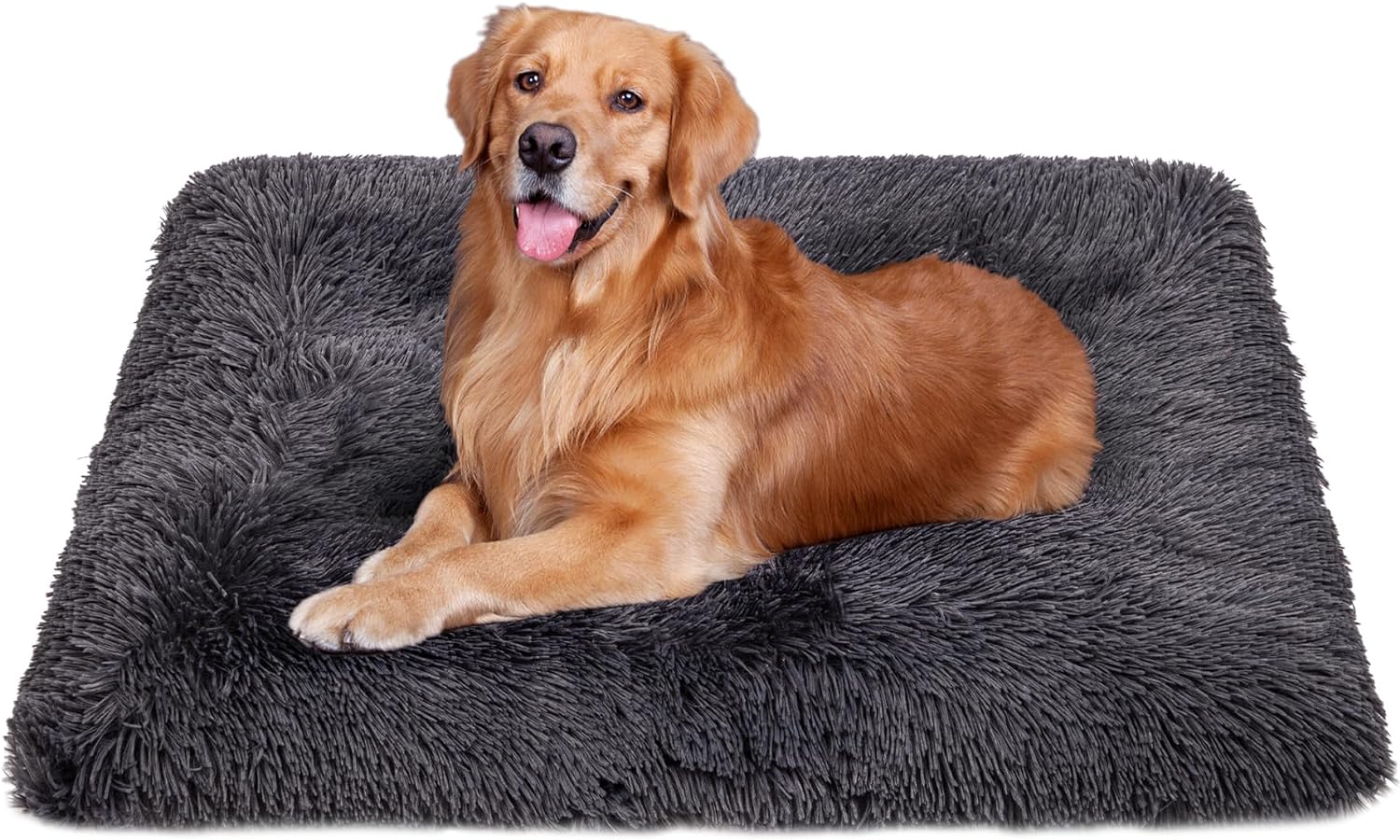 dog beds for large dogs