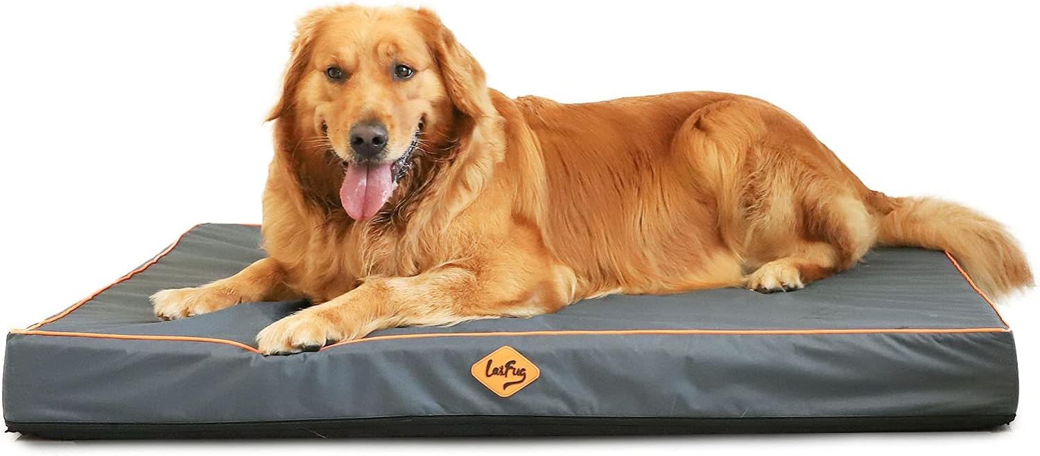 dog beds amazon