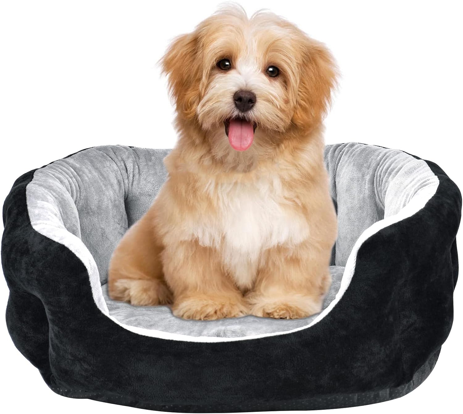 dog beds amazon