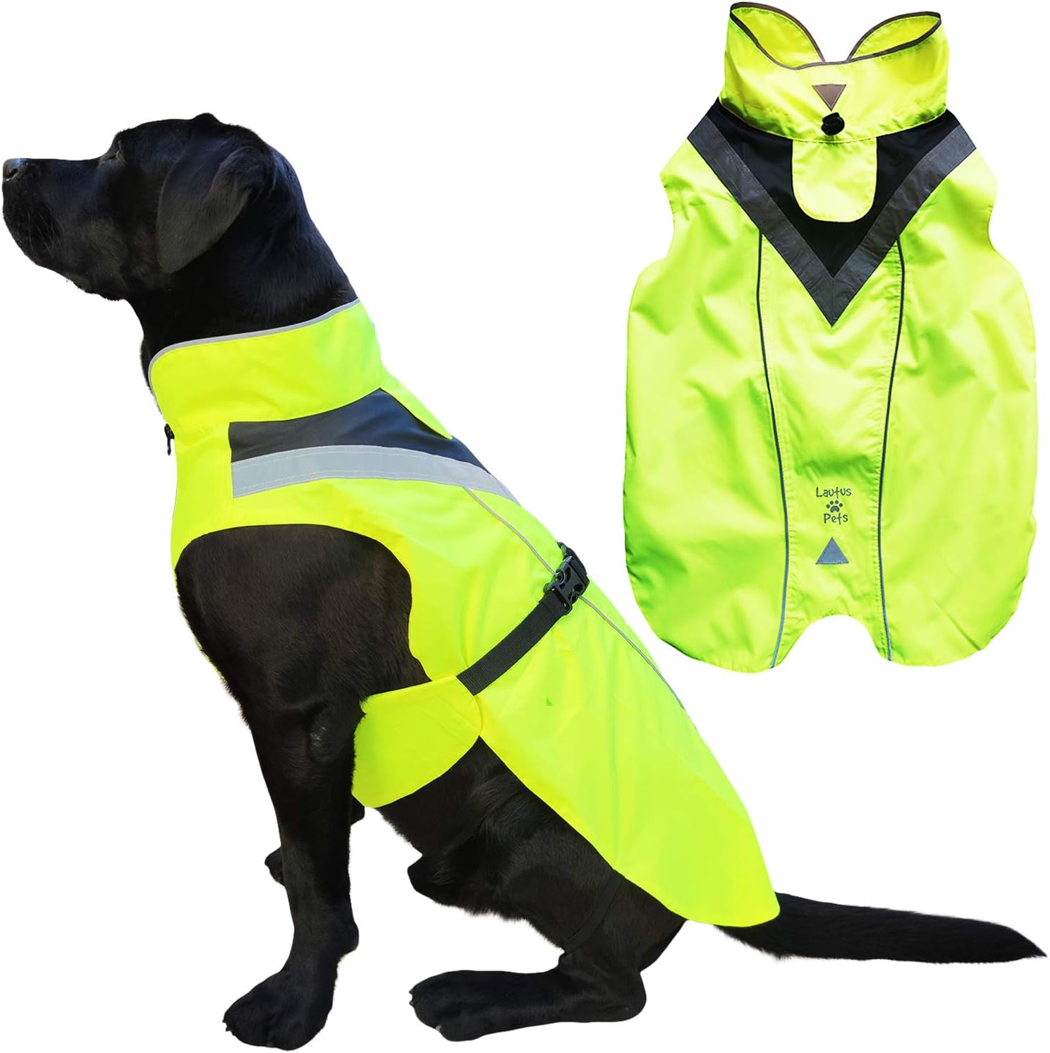 dog jackets waterproof