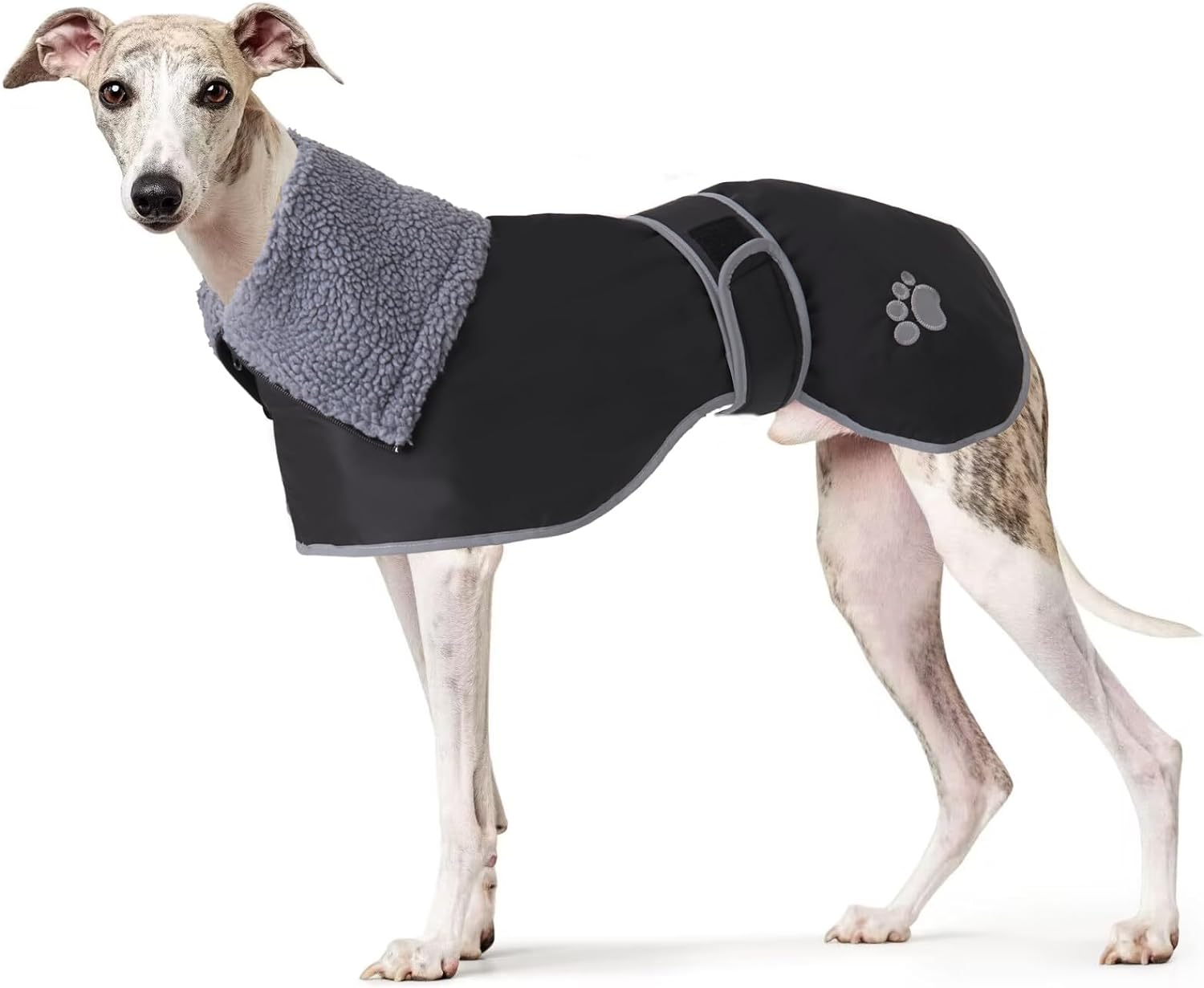 dog jackets for winter