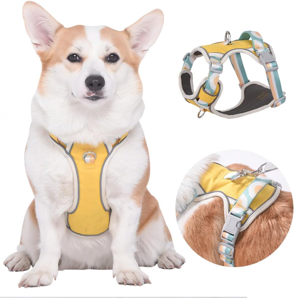 dog harness with handle