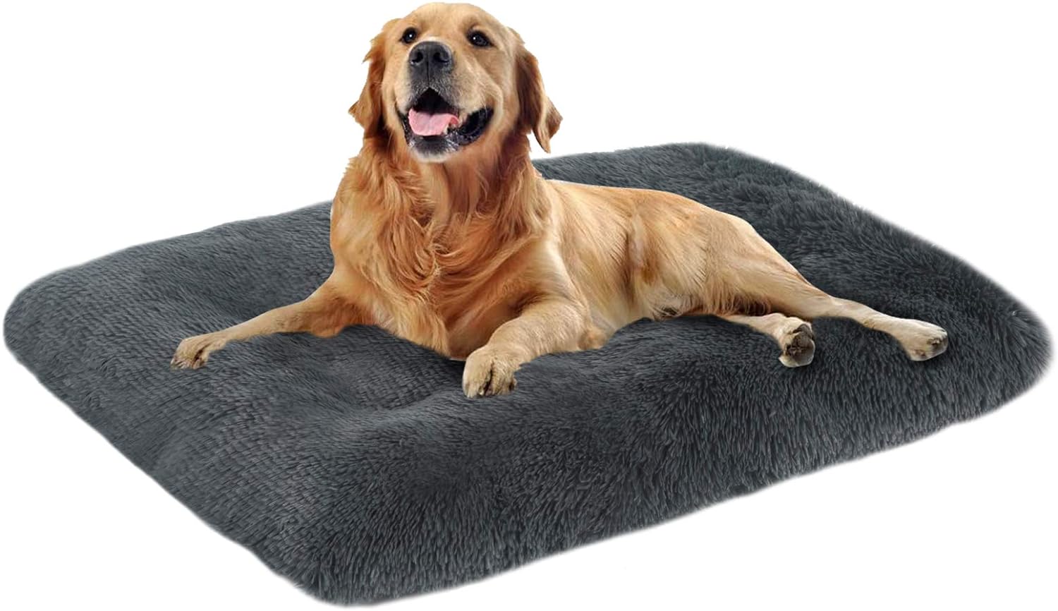 dog beds amazon