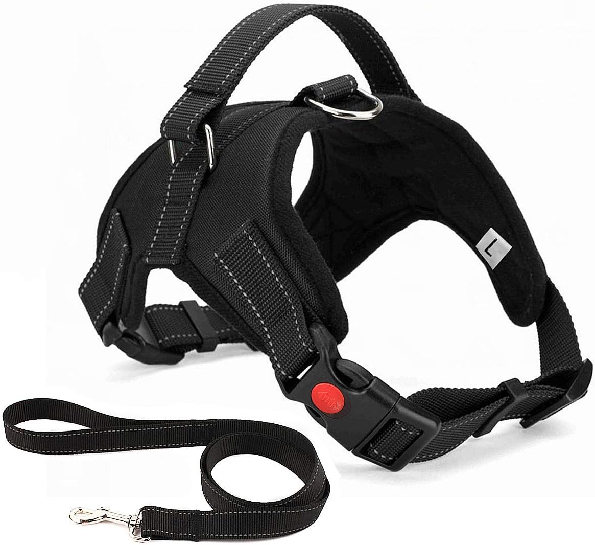 dog harness with name