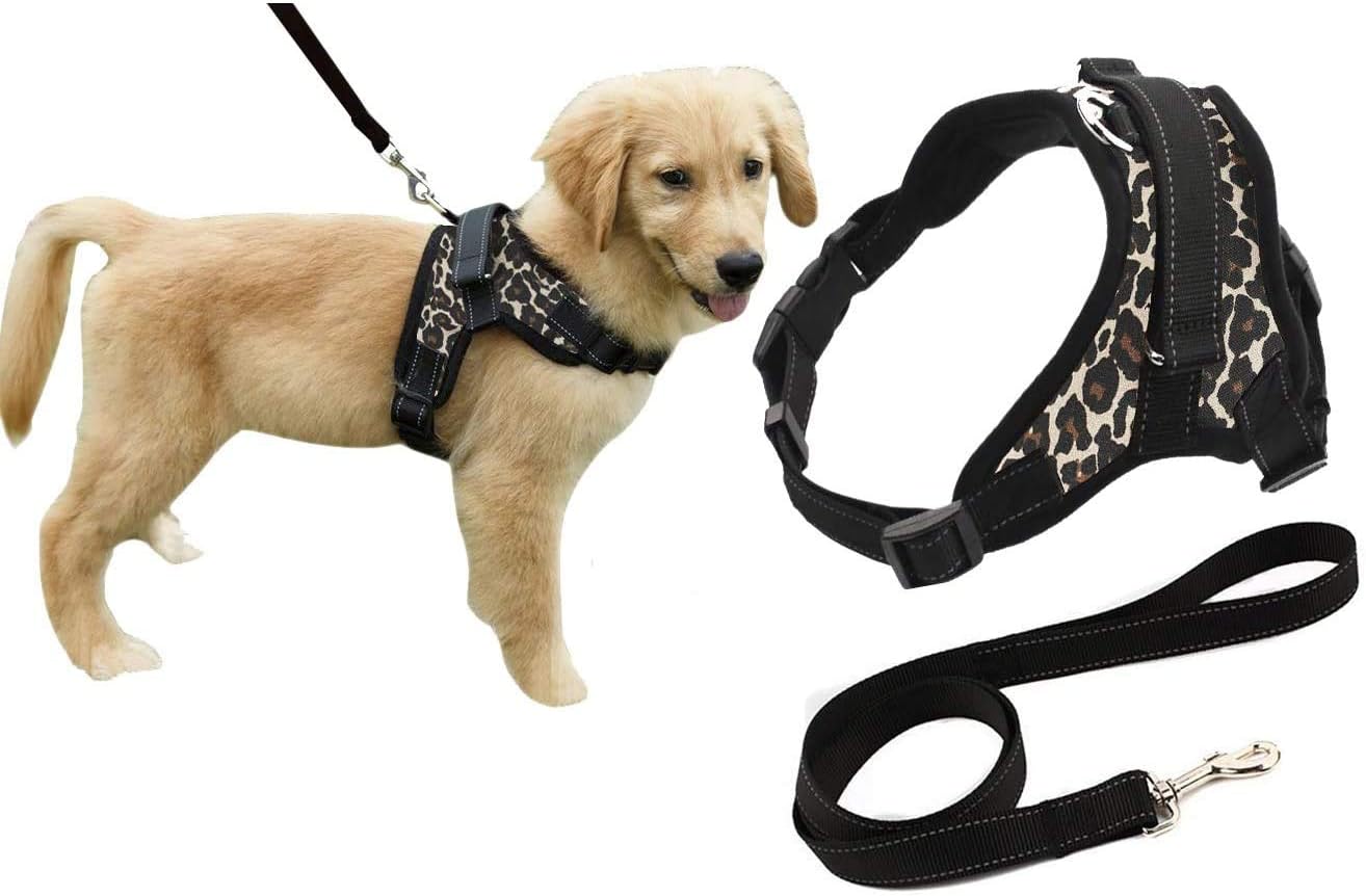 dog harness with handle