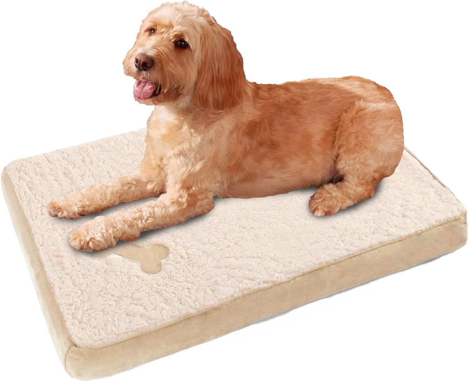 dog beds for large dogs