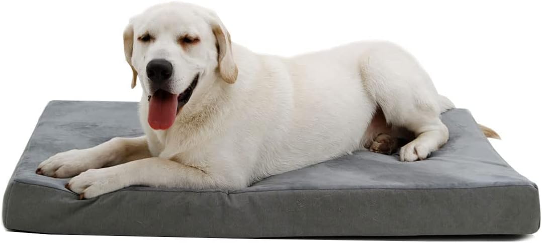 dog beds for large dogs