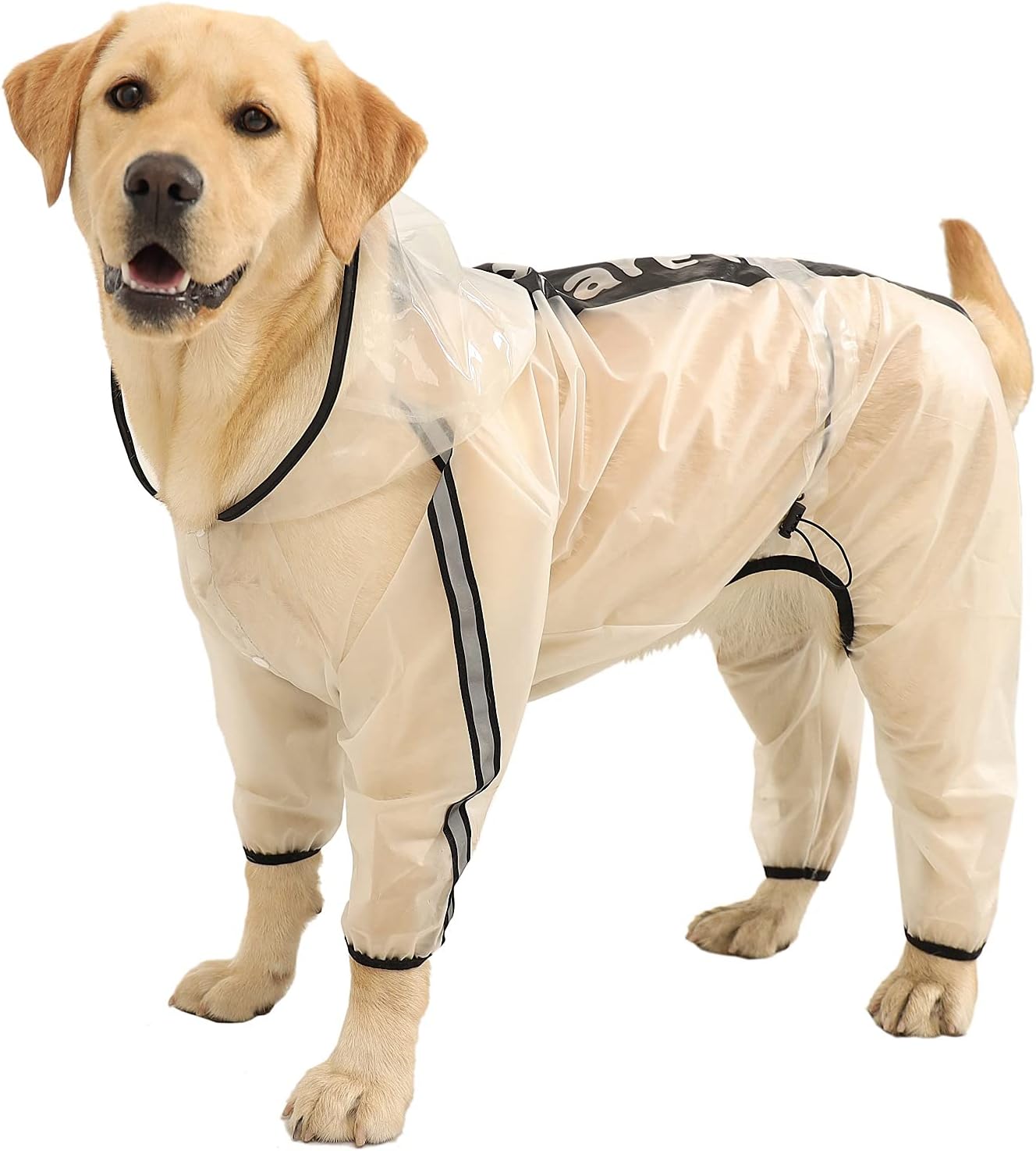 dog jackets waterproof