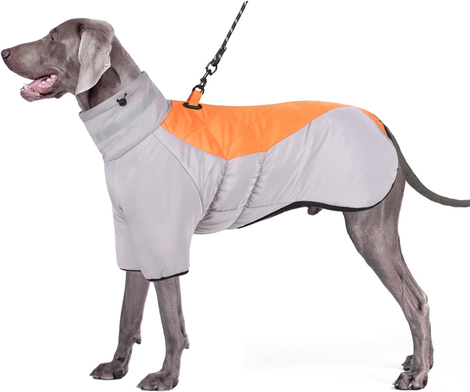 dog jackets for winter