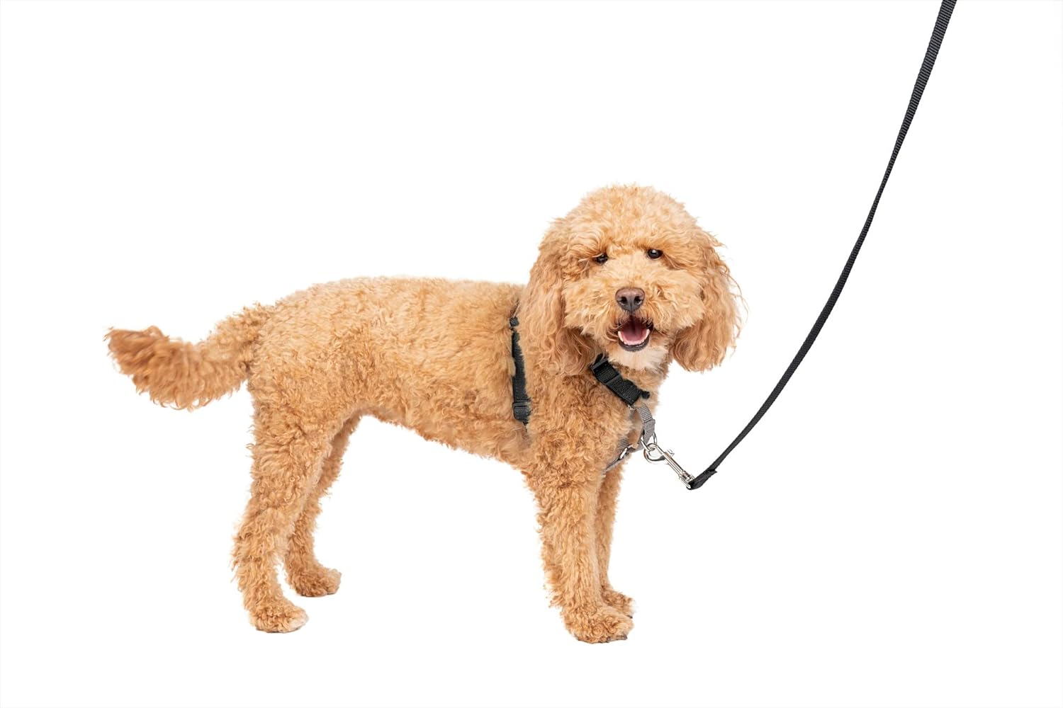 dog harness with handle