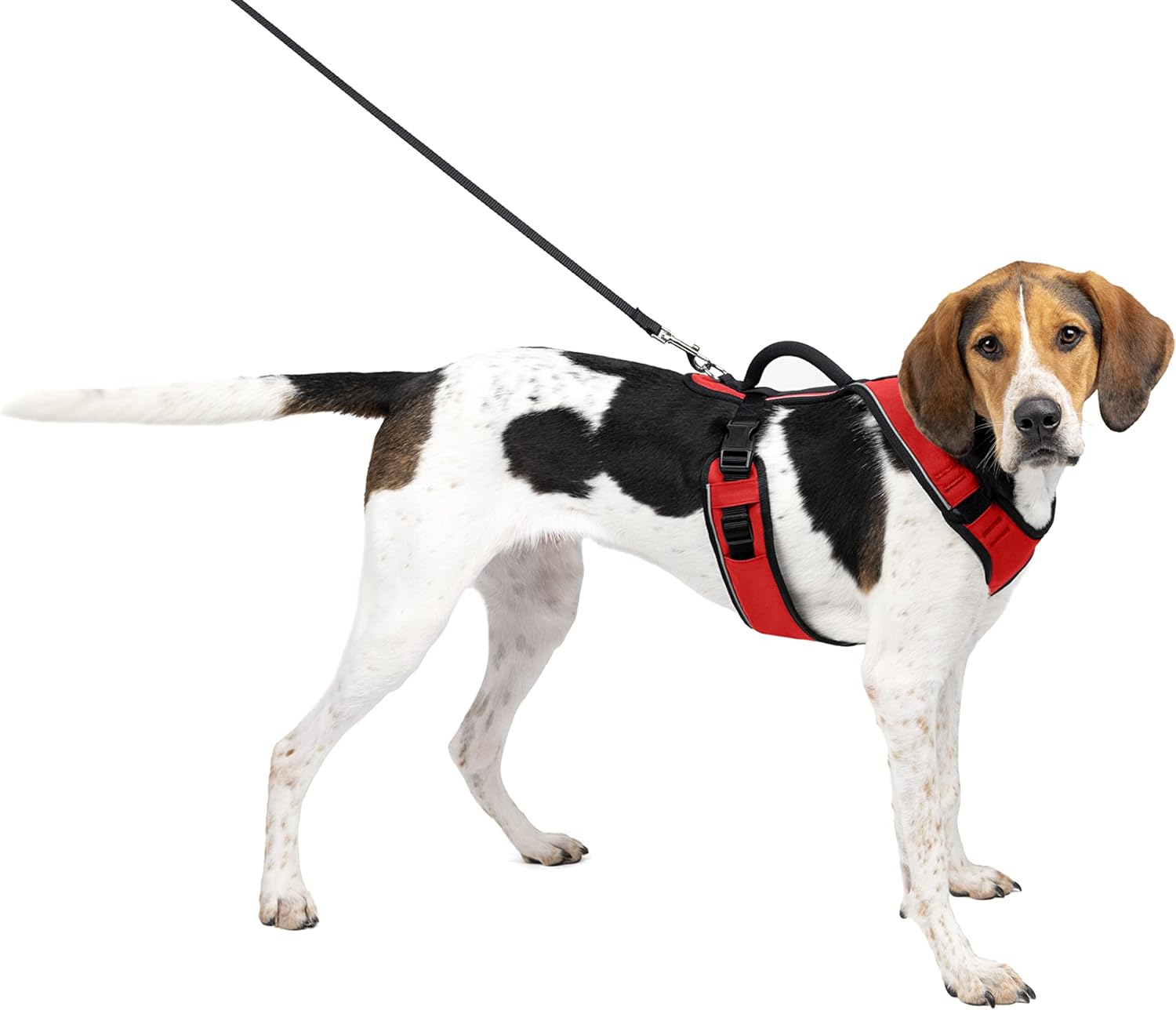 dog harness with handle