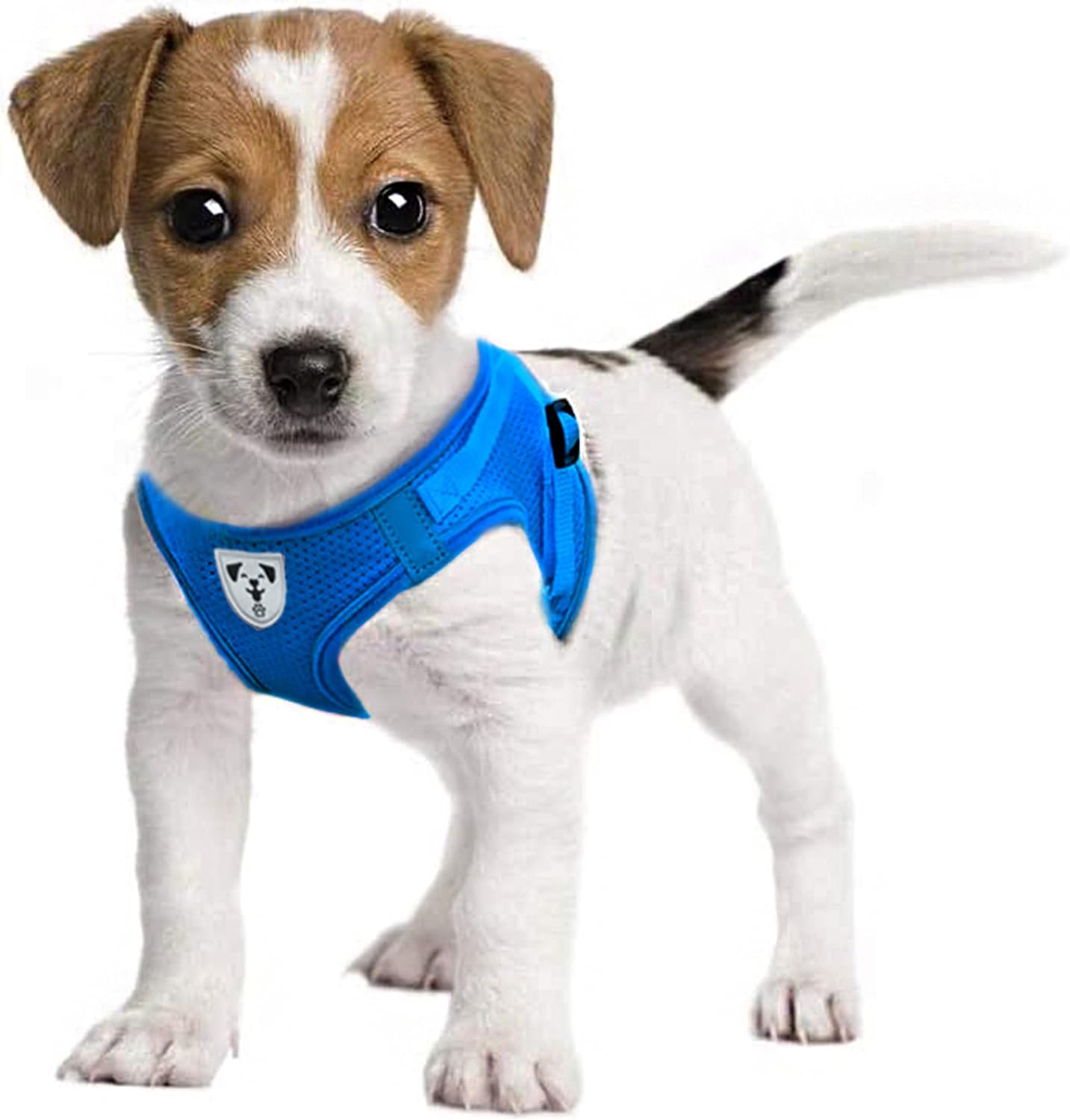 dog harness with handle