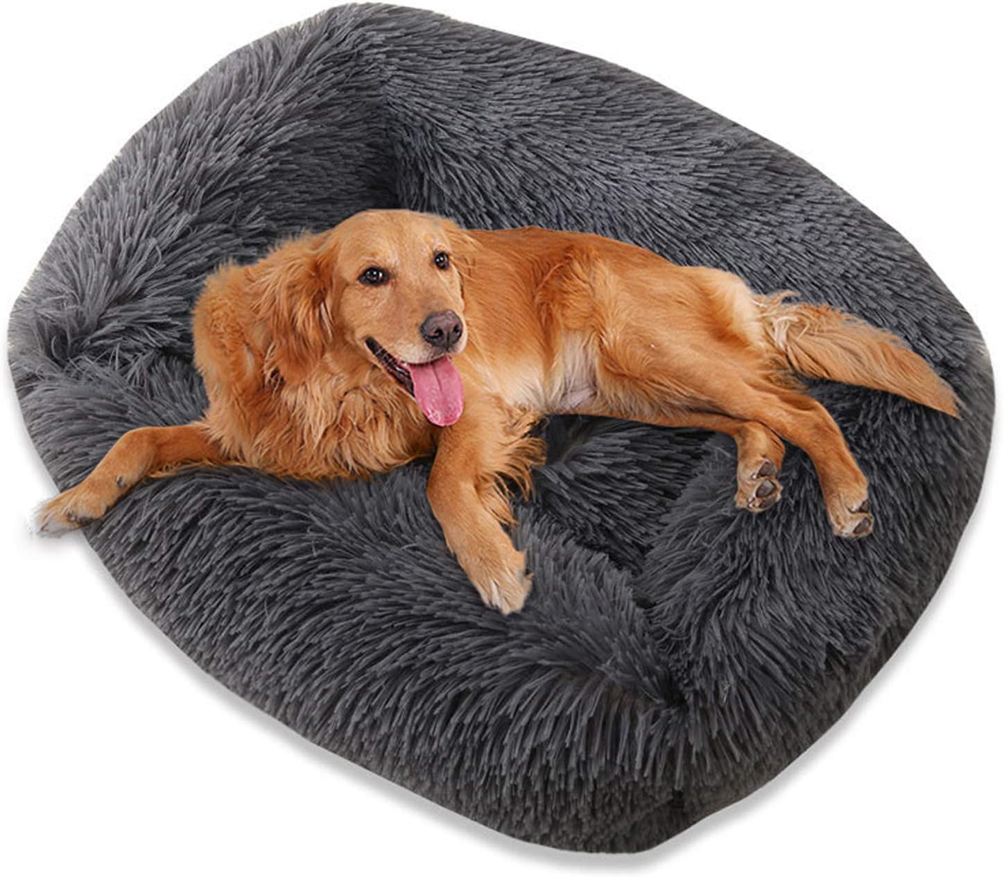 dog beds for large dogs