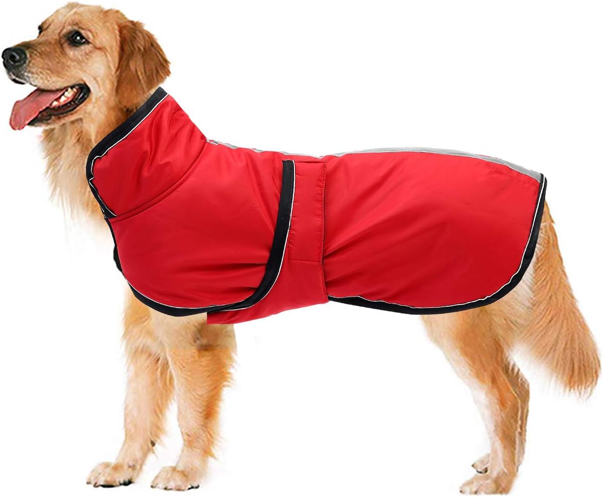 dog jackets waterproof