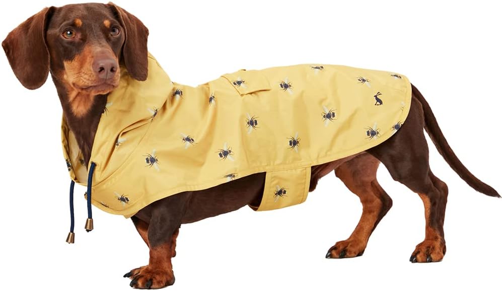 dog jackets waterproof