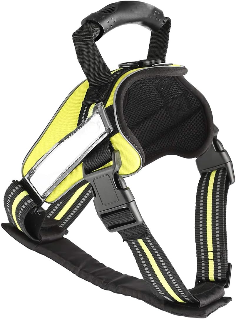 dog harness with handle