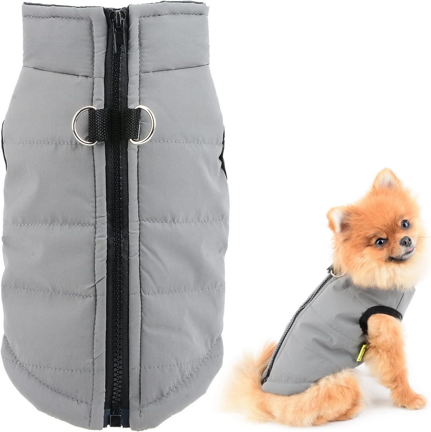 dog jackets waterproof