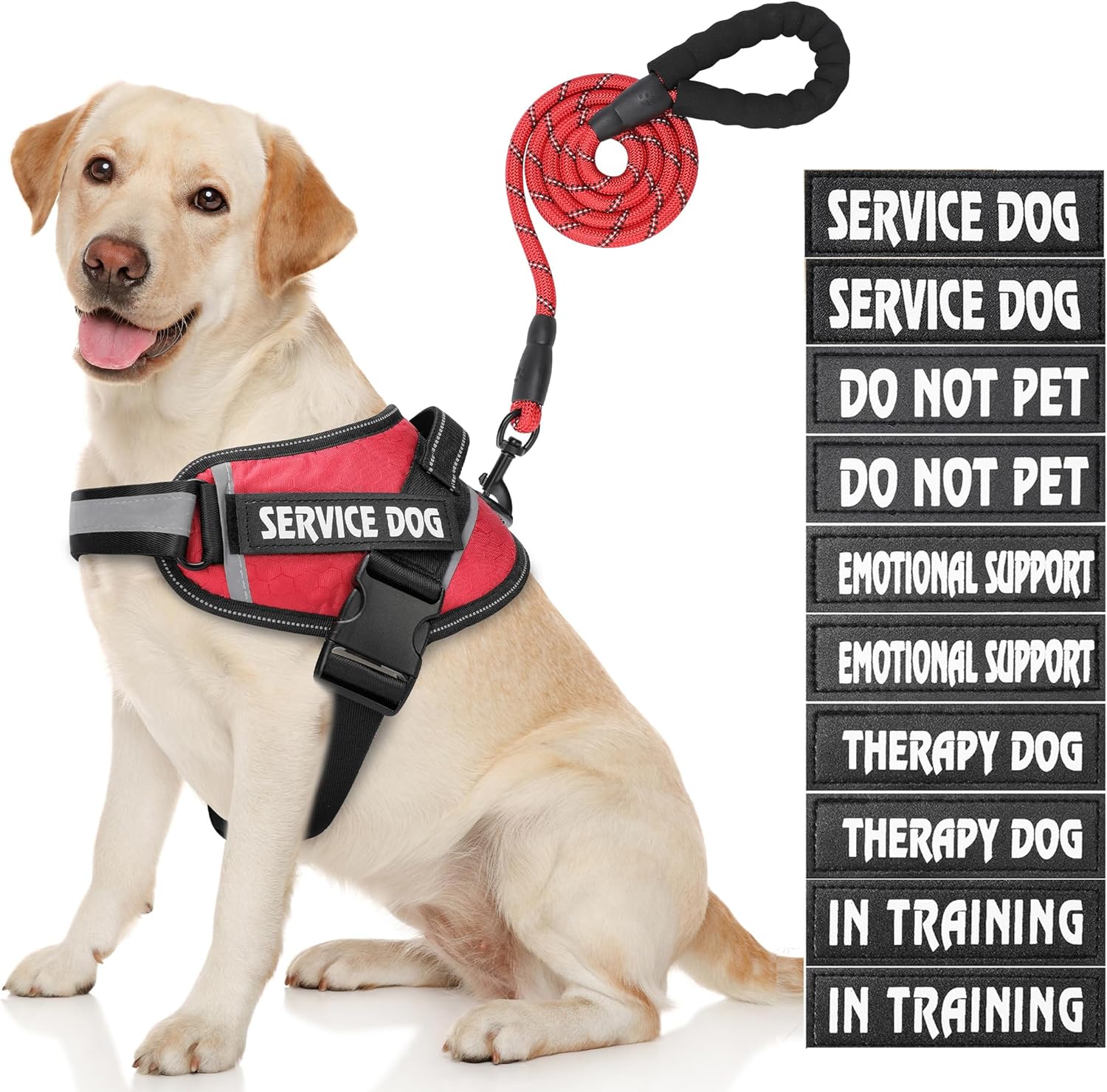 dog harness with handle