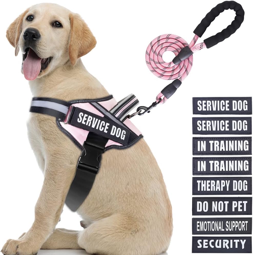 dog harness with handle