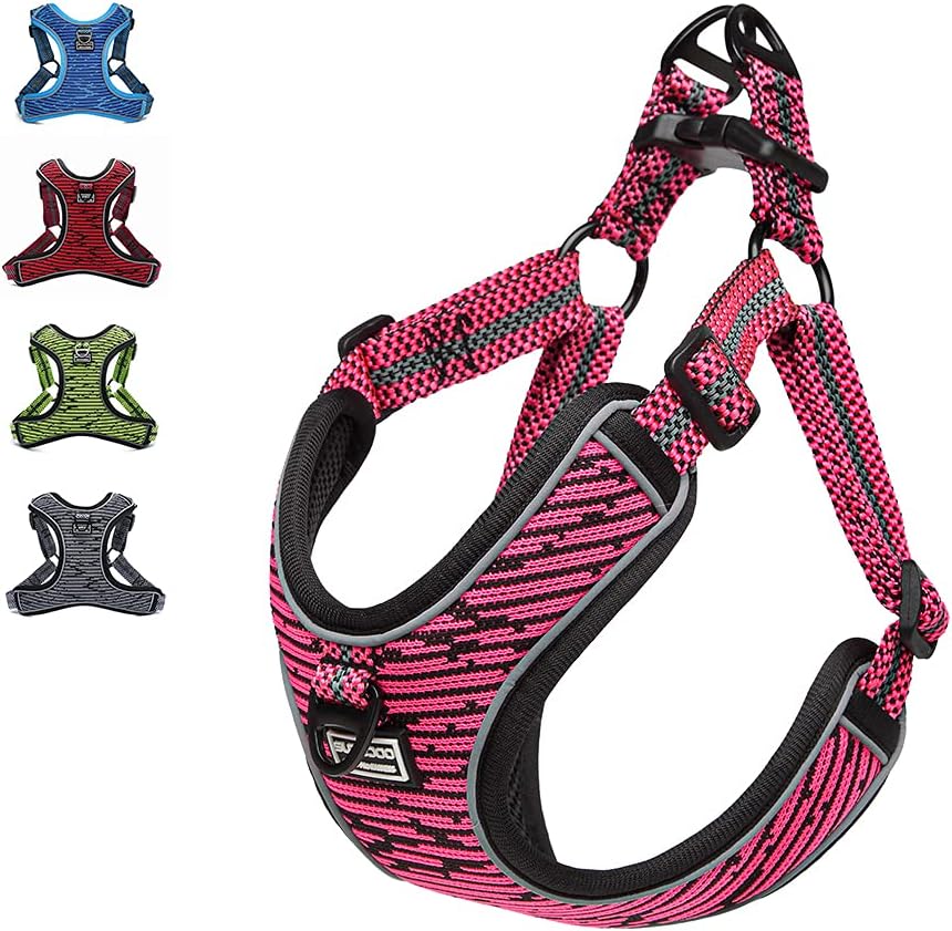 dog harness with name