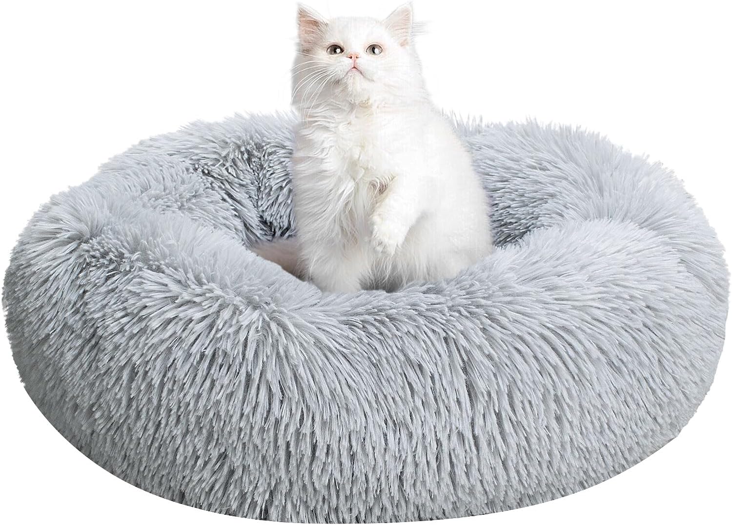 dog beds amazon