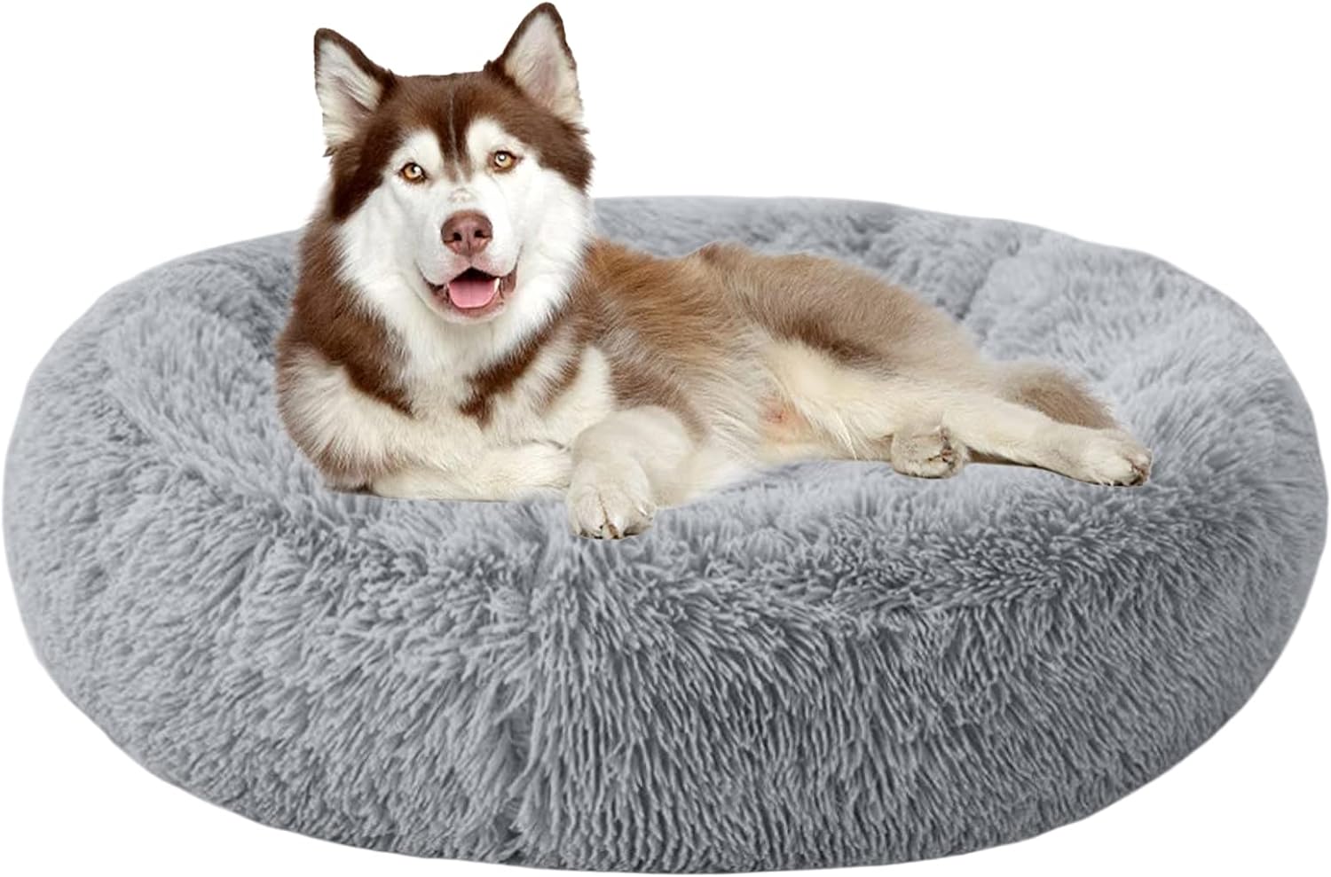 dog beds for large dogs