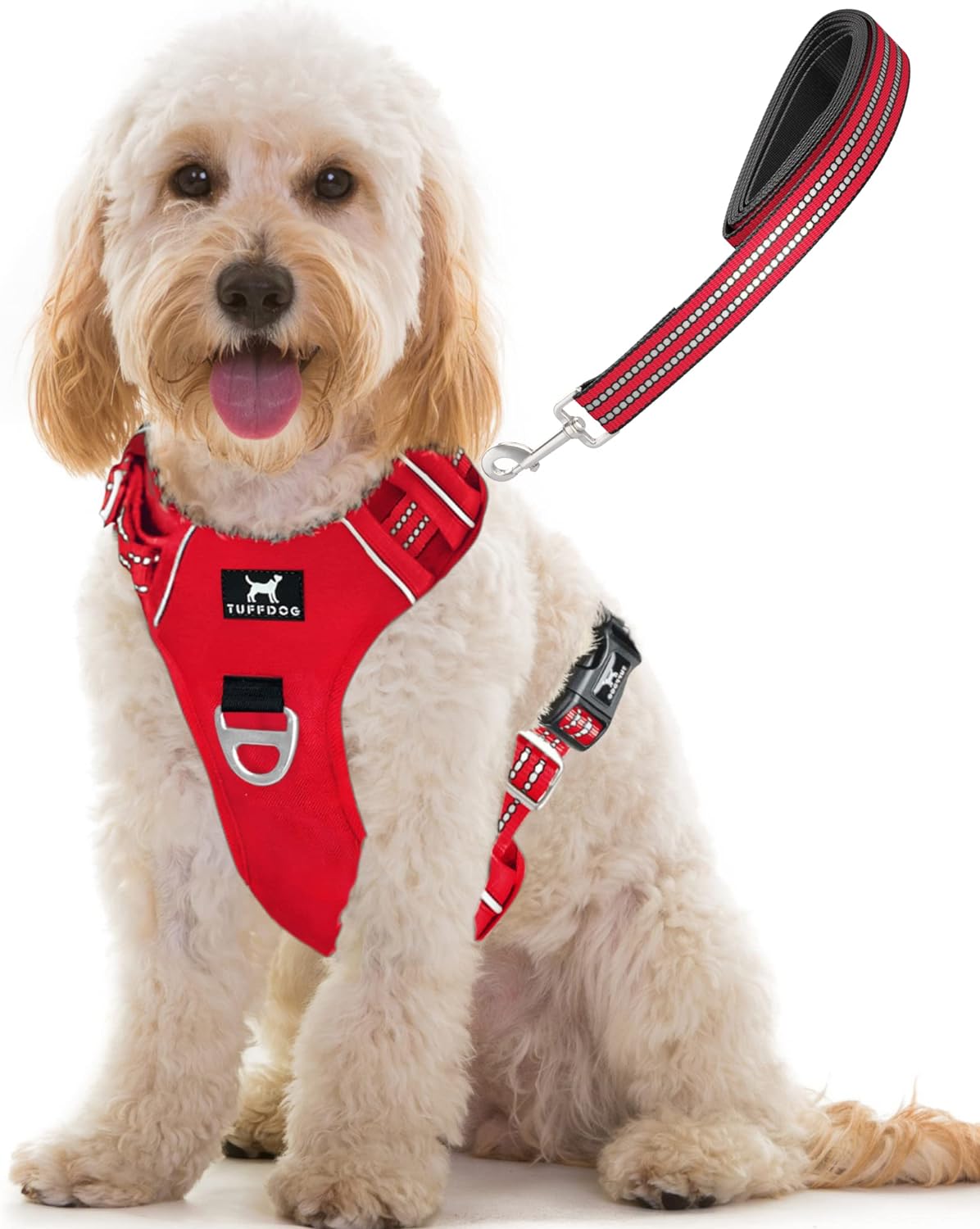 dog harness with name