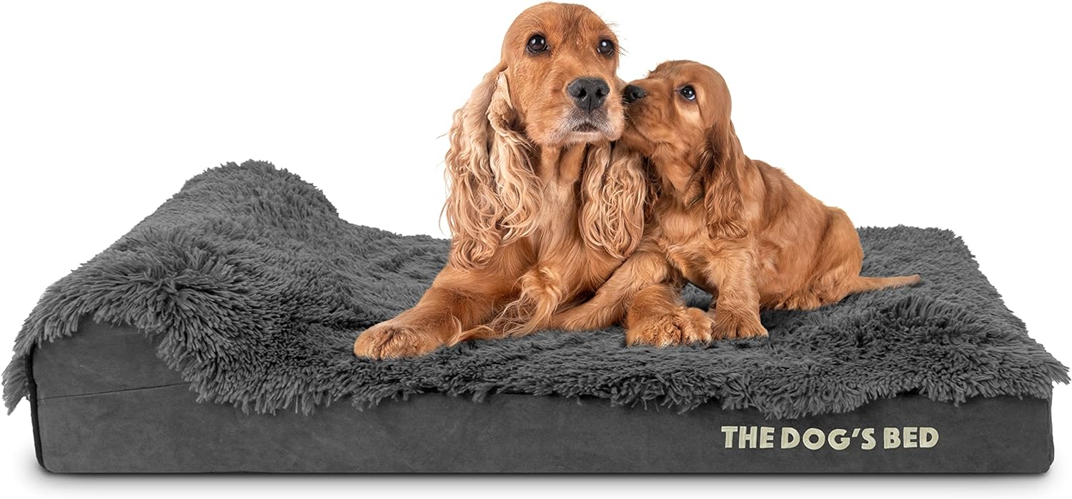 dog beds amazon