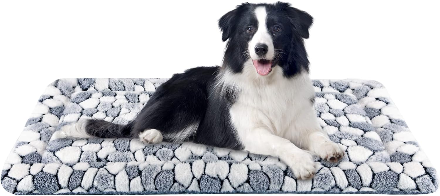 dog beds for large dogs