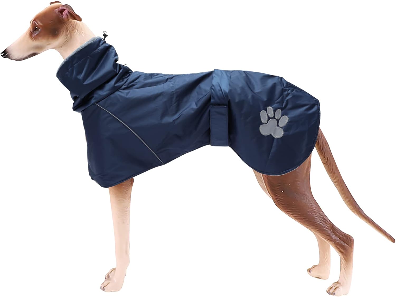 dog jackets for winter