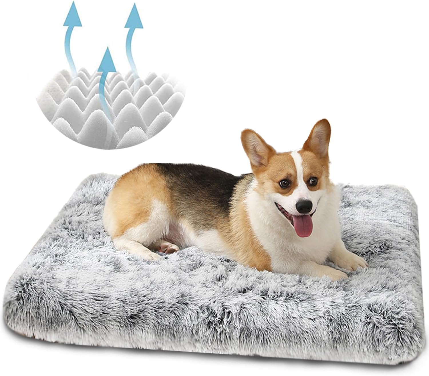 dog beds amazon