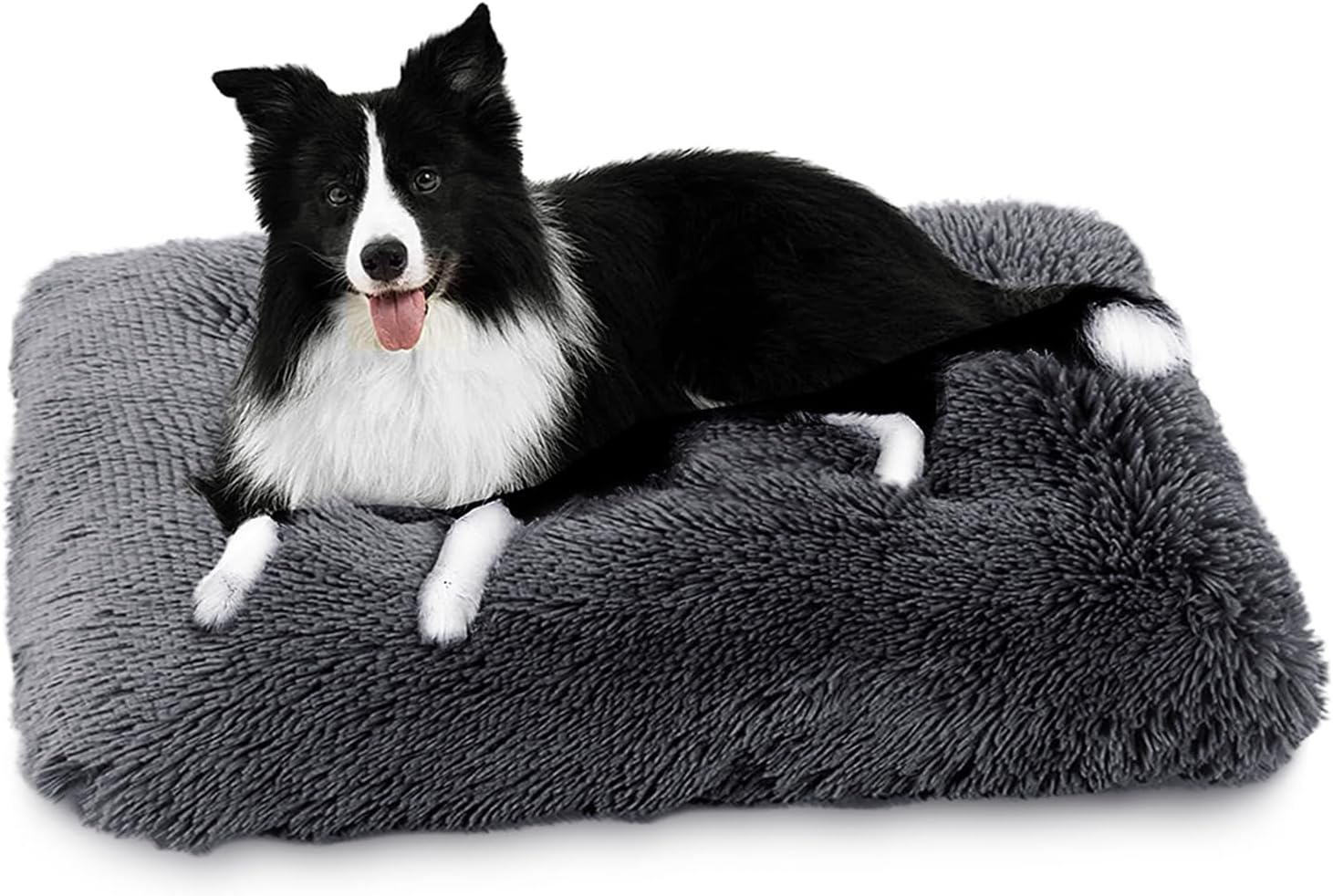 dog beds amazon