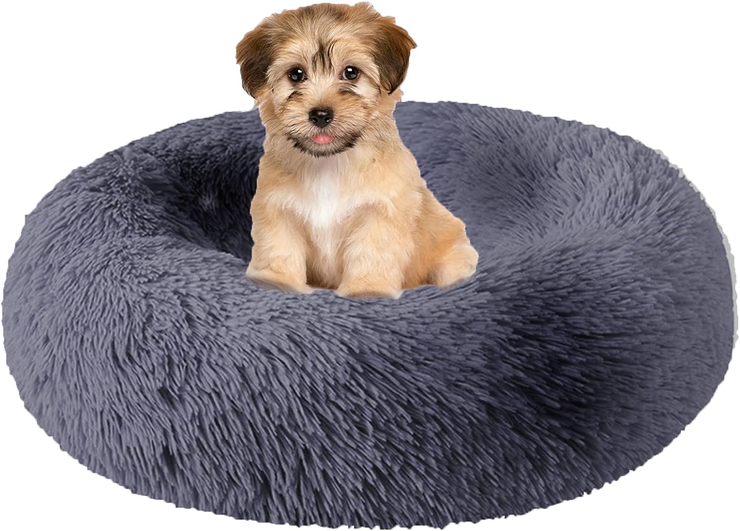 dog beds amazon